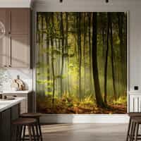 Sunlit Forest Wallpaper From Nature 3