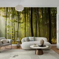 Sunlit Forest Wallpaper From Nature 4