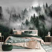 Forest Wallpaper