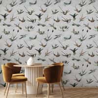 Feather Wallpaper