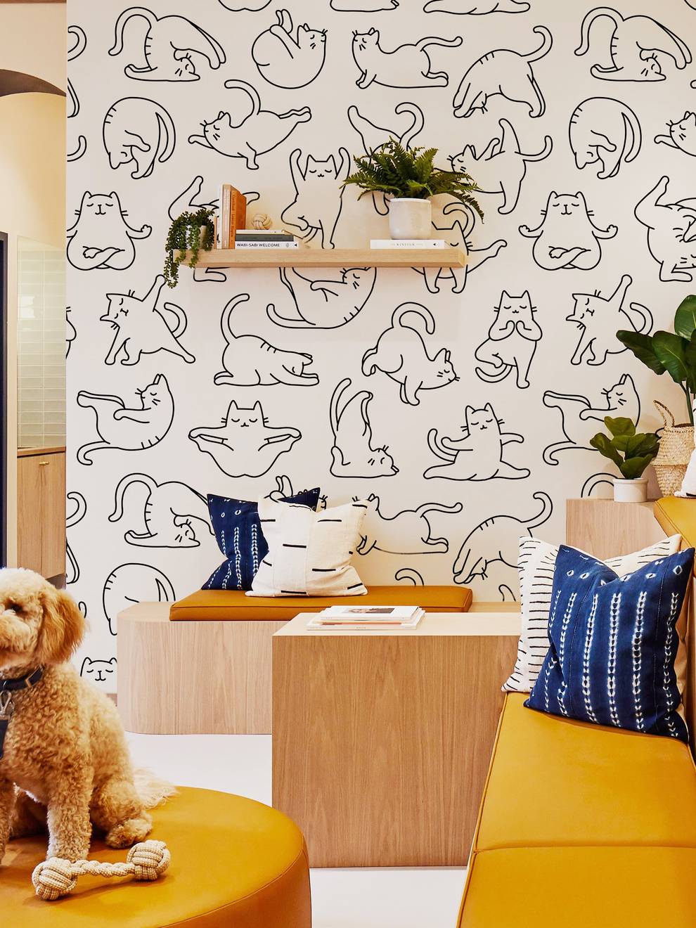 Charming Yoga Kittens Pattern Wallpaper Mural